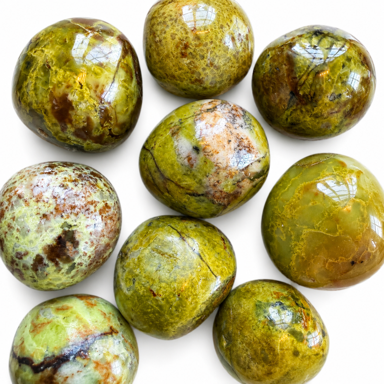 Gr�n Opal, Lommesten 