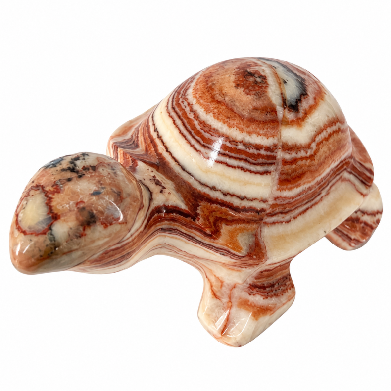 Stribet Onyx Skilpadde 1