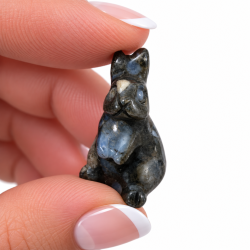 Indigo Gabbro, kanin unge 