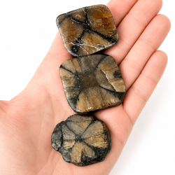 Chiastolit, palmstone