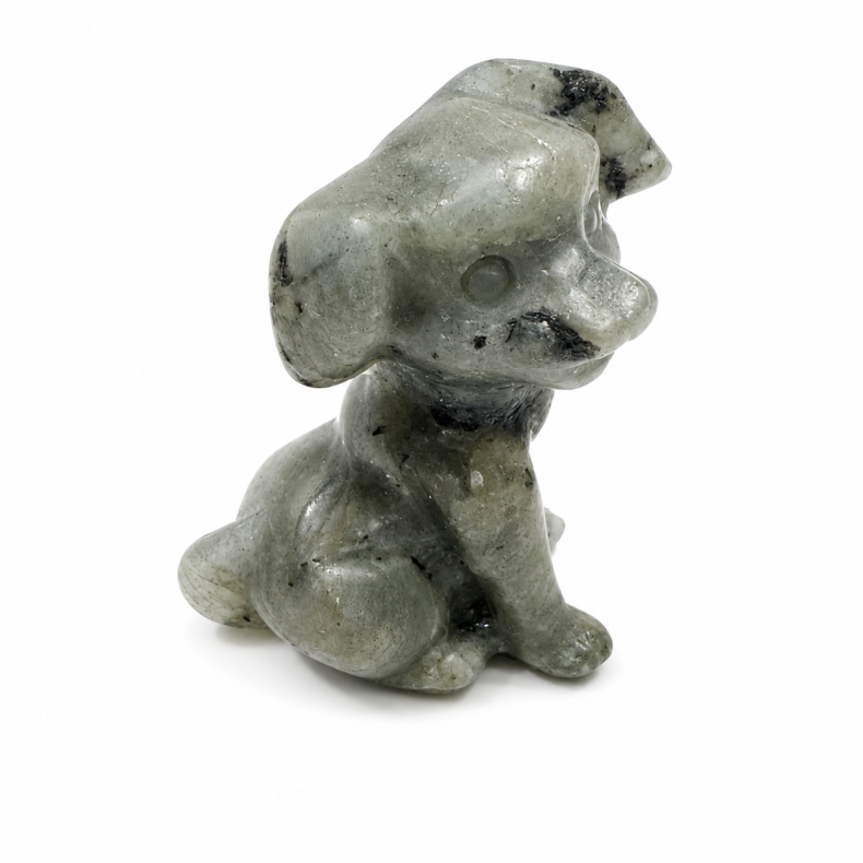 Labradorit stor hund 