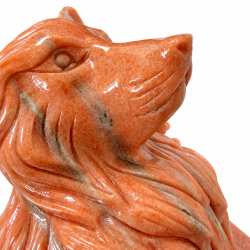 Orange Calcit Ulve Hoved 