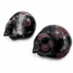 Granat, sovende kat
