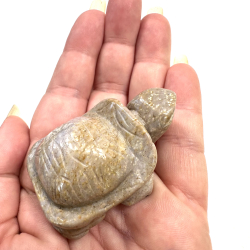 Gul Aragonit, Skildpadde 