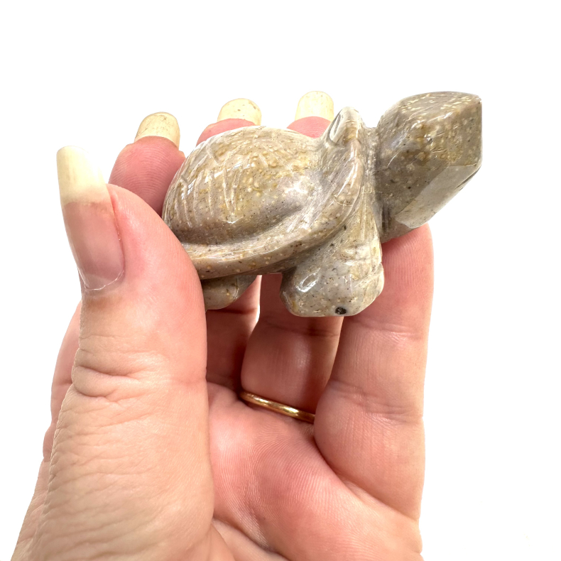 Gul Aragonit, Skildpadde 