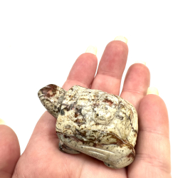 Breccie Jaspis, Skildpadde 