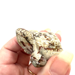 Breccie Jaspis, Skildpadde 