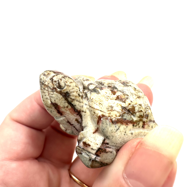 Breccie Jaspis, Skildpadde 