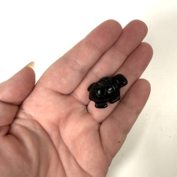 Sort Obsidian, skilpadde mini 