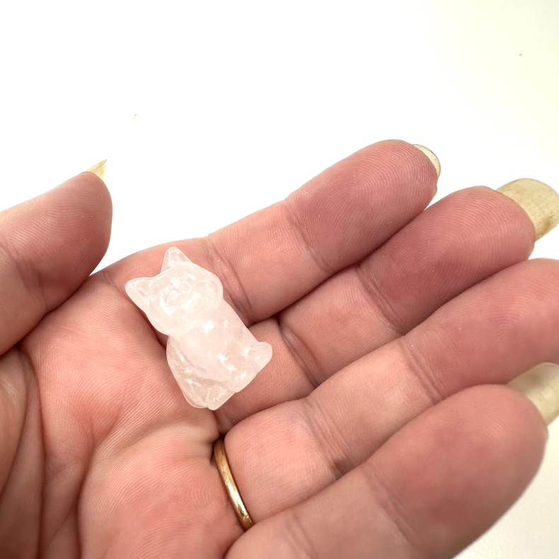 Bjergkrystal killing 