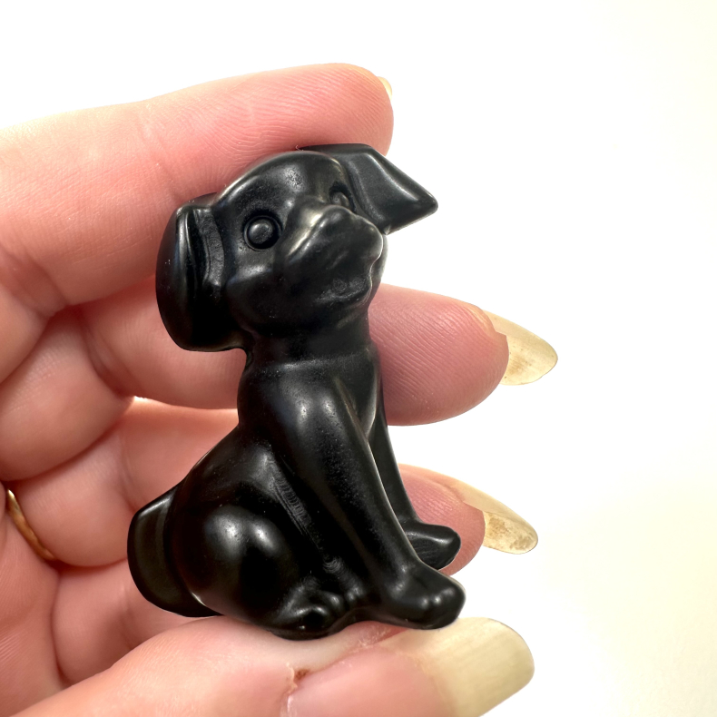 Sort Obsidian, Stor hund 