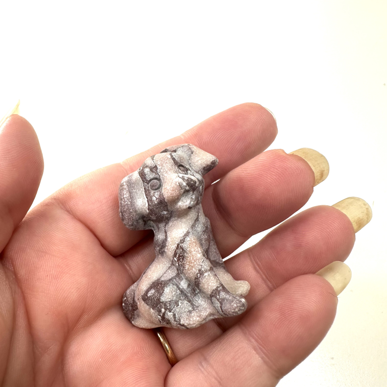 Pink Zebra Jaspis stor hund 