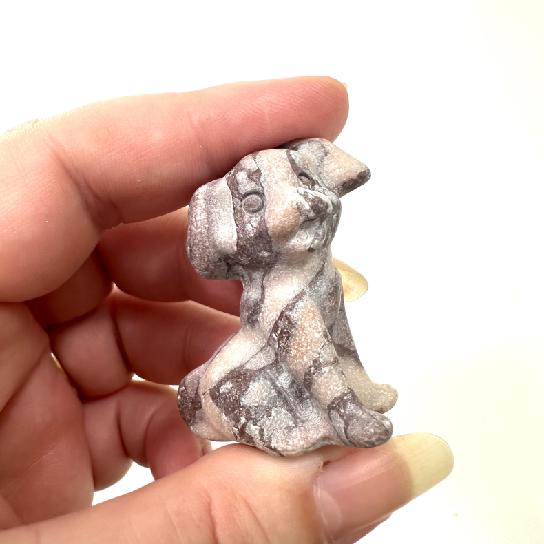 Pink Zebra Jaspis stor hund 