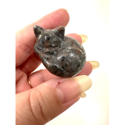 Yooperlite, sovende kat