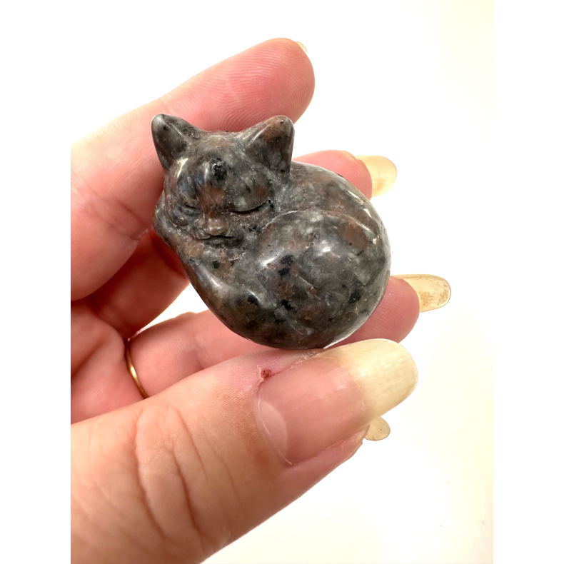 Yooperlite, sovende kat