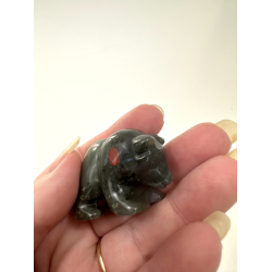 Afrikansk Blodsten bjrn 