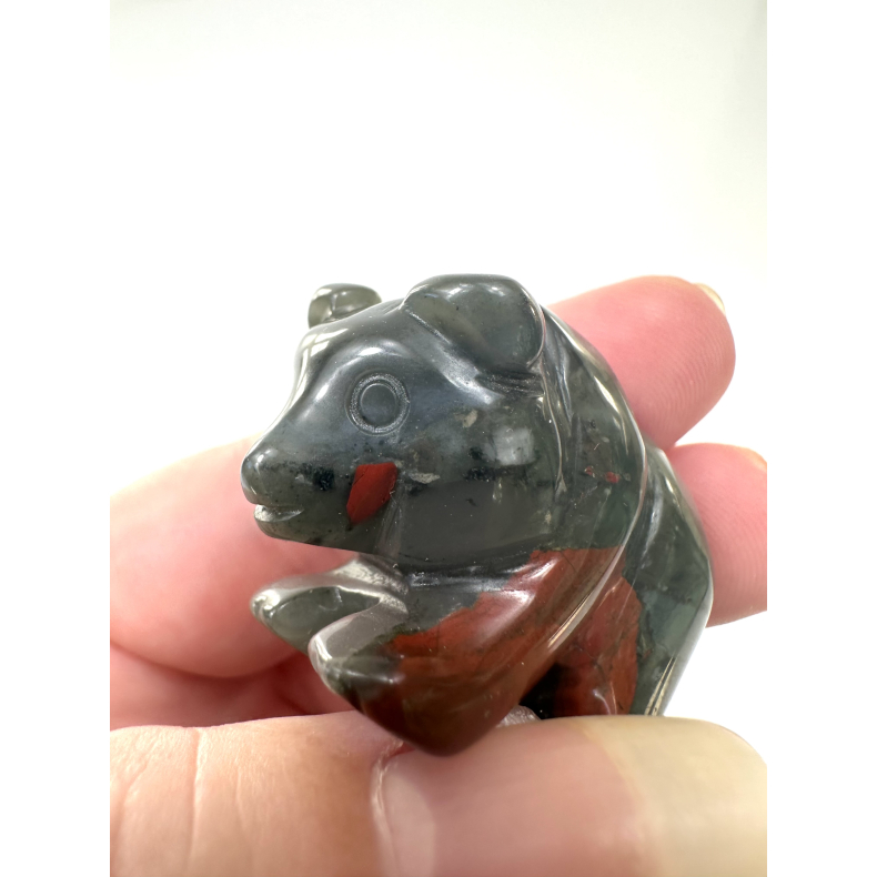 Afrikansk Blodsten bjrn 