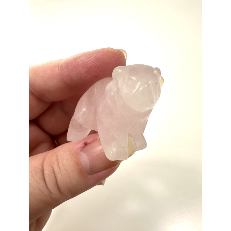 Rosakvarts isbjrn 