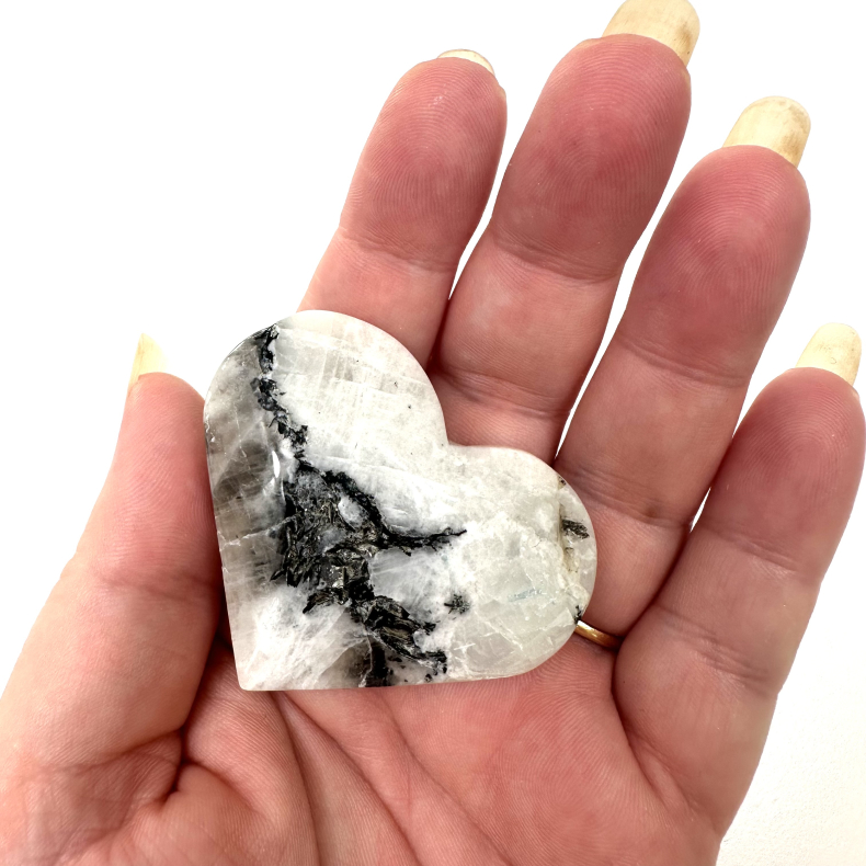 Regnbue Mnesten, hjerte 