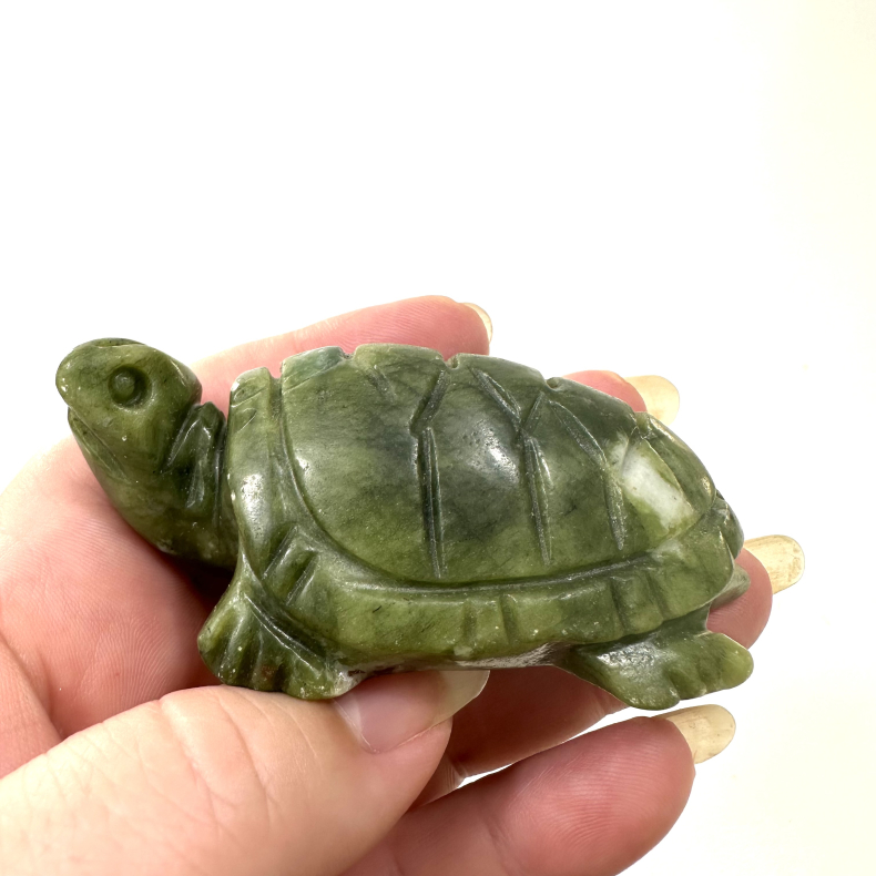 Grn Jade skildpadde
