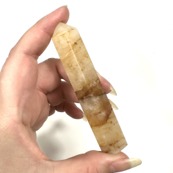 Golden Healer, Trn A