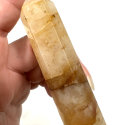 Golden Healer, Trn A