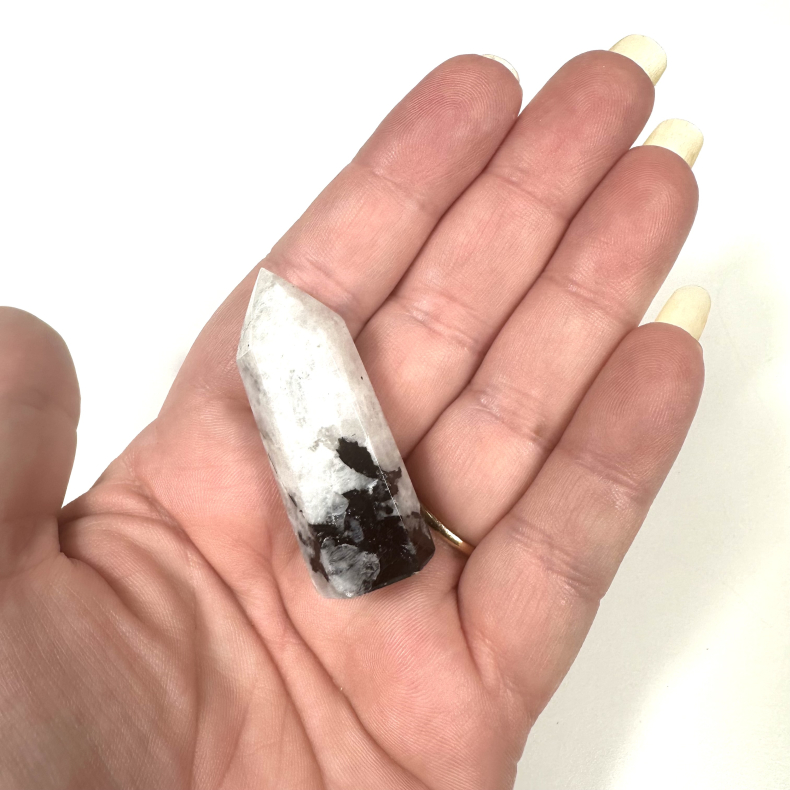 Regnbue Mnesten, Trn B