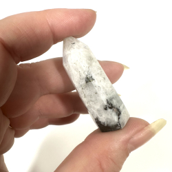 Regnbue Mnesten, Trn B