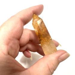 Golden Healer, Trn lille 