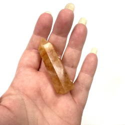 Golden Healer, Trn lille 