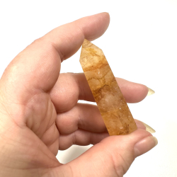 Golden Healer, Trn lille 