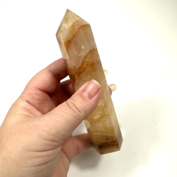 Golden Healer, Trn D