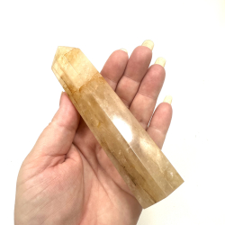 Golden Healer, Trn C 