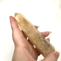 Golden Healer, Trn C 