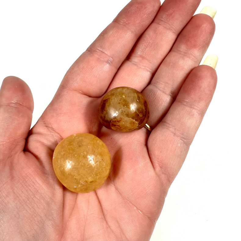 Golden Healer, Lommesten 