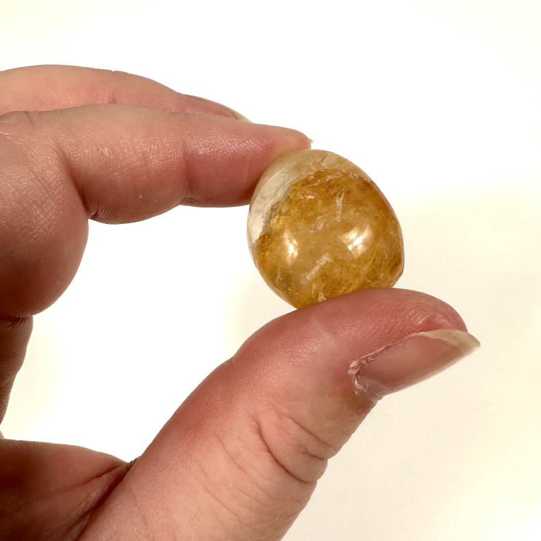 Golden Healer, Lommesten 