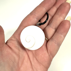 Shivas je, Vedhng med Ldersnor 