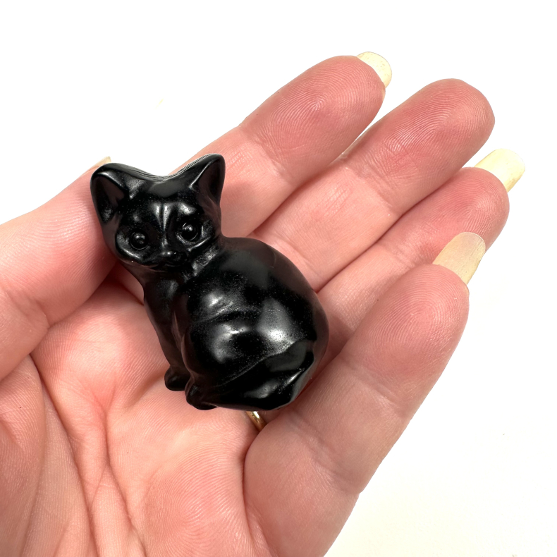Sort Obsidian, stor siddende kat 
