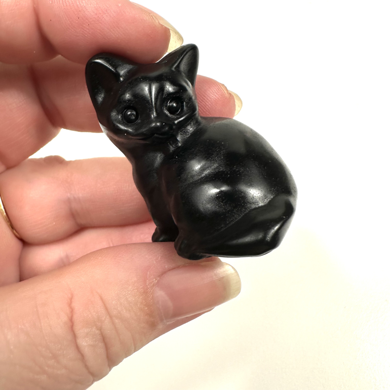Sort Obsidian, stor siddende kat 