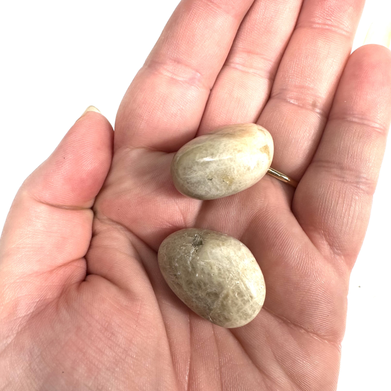 Fersken Mnesten, Lommesten 