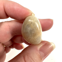 Fersken Mnesten, Lommesten 