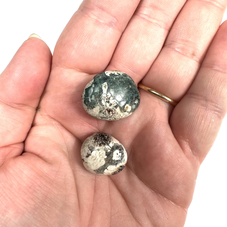 Grsblomstersten, Lommesten 