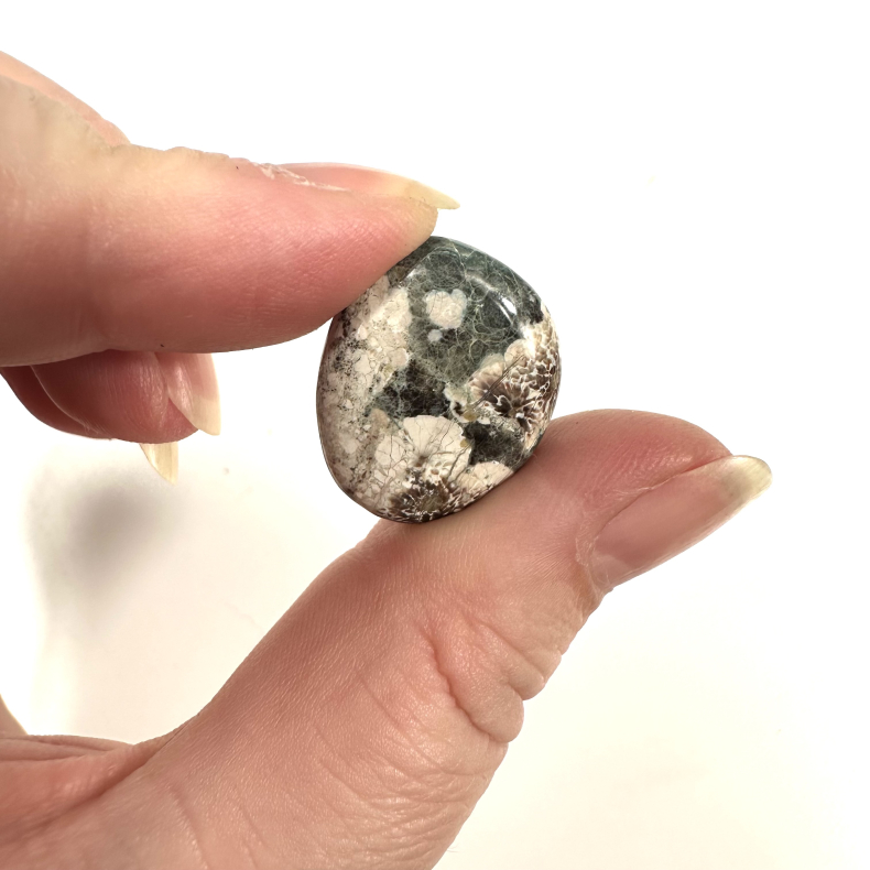 Grsblomstersten, Lommesten 