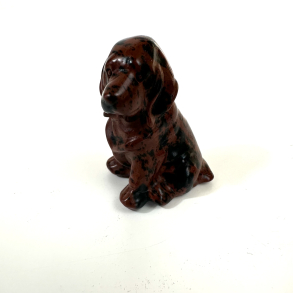 Rd Obsidian, labrador hund 