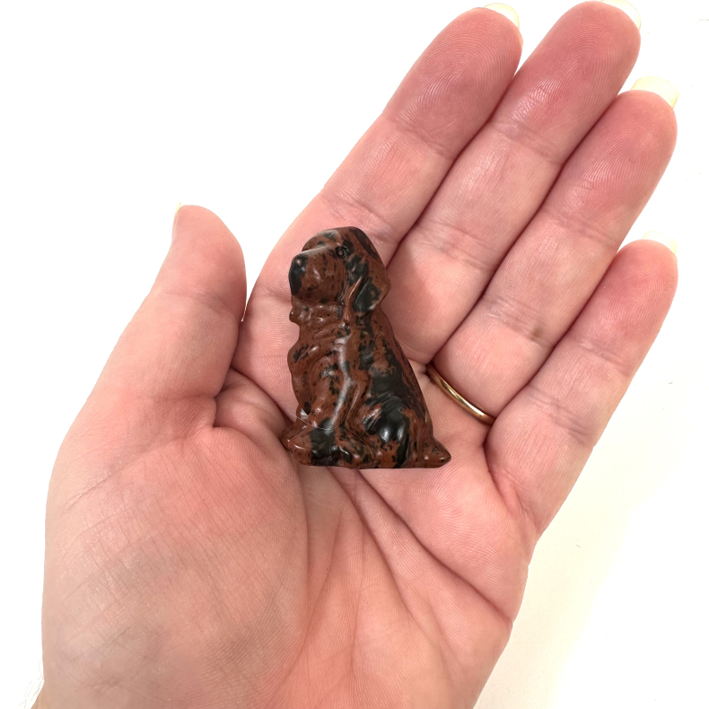 Rd Obsidian, labrador hund 