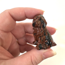 Rd Obsidian, labrador hund 