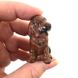 Rd Obsidian, labrador hund 