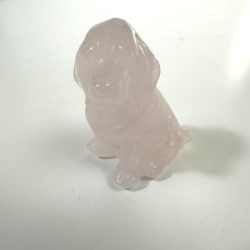 Rosakvarts, labrador hund 