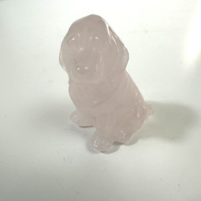 Rosakvarts, labrador hund 