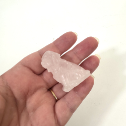 Rosakvarts, labrador hund 